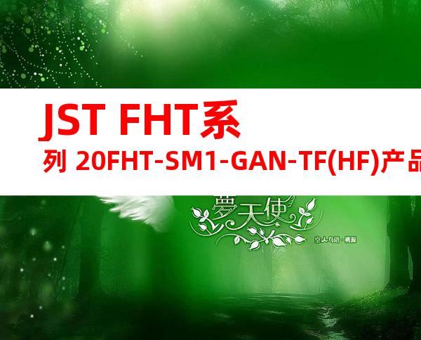 JST FHT系列 20FHT-SM1-GAN-TF(HF)产品图纸